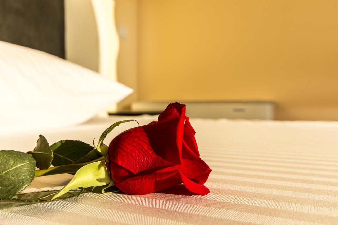 Miami Spa And Wellness Belgrade Room photo